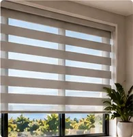 Zebra blinds